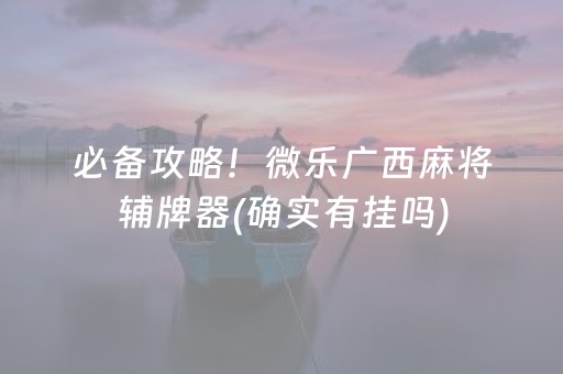 必备攻略！微乐广西麻将辅牌器(确实有挂吗)