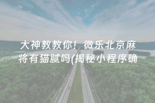 大神教教你！微乐北京麻将有猫腻吗(揭秘小程序确实有猫腻)