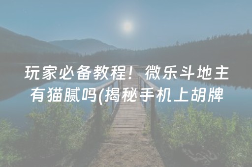 玩家必备教程！微乐斗地主有猫腻吗(揭秘手机上胡牌技巧)