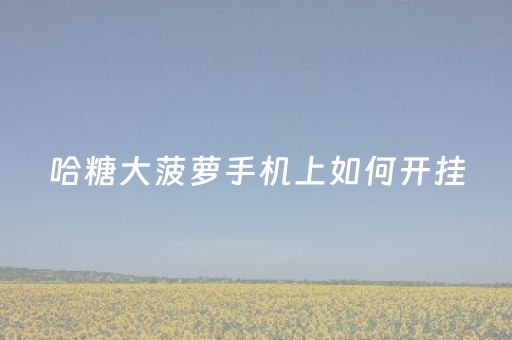 哈糖大菠萝手机上如何开挂（哈糖大菠萝游戏规则）