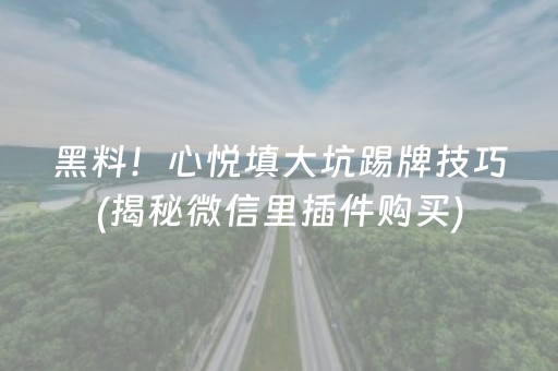 黑料！心悦填大坑踢牌技巧(揭秘微信里插件购买)