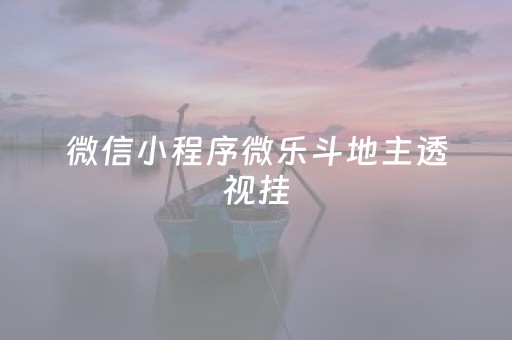 微信小程序微乐斗地主透视挂（微乐斗地主小程序透视是真的吗）