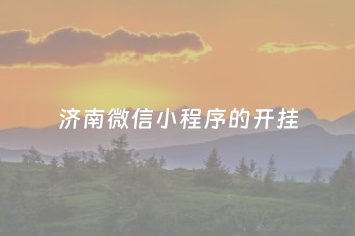 济南微信小程序的开挂（我想在微信小程序开个挂）