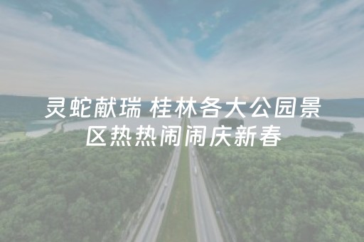 重大通报！中至南昌麻将埋雷技巧(揭秘小程序规律攻略)