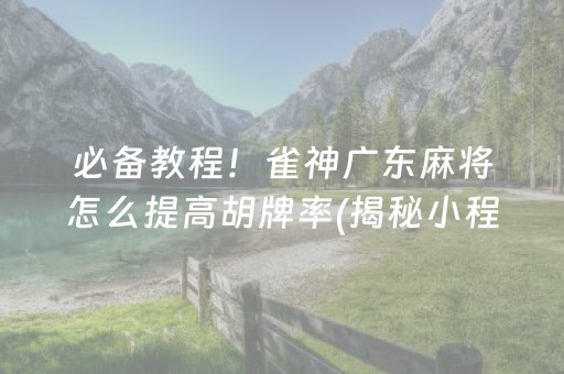 必备教程！雀神广东麻将怎么提高胡牌率(揭秘小程序最新神器下载)