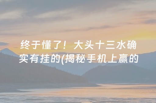 终于懂了！大头十三水确实有挂的(揭秘手机上赢的秘诀)