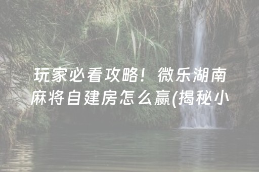 玩家必看攻略！微乐湖南麻将自建房怎么赢(揭秘小程序系统发好牌)