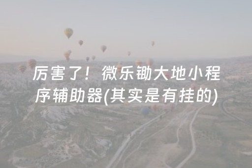 厉害了！微乐锄大地小程序辅助器(其实是有挂的)