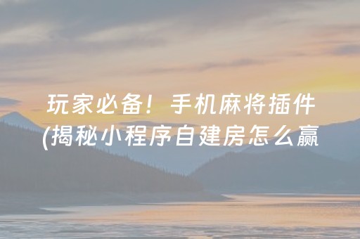 玩家必备！手机麻将插件(揭秘小程序自建房怎么赢)