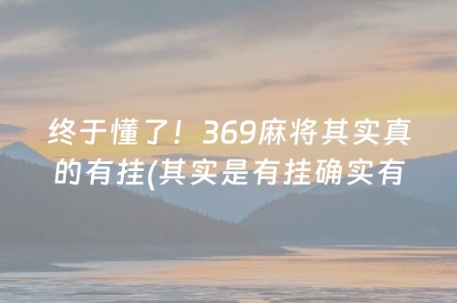 终于懂了！369麻将其实真的有挂(其实是有挂确实有挂)