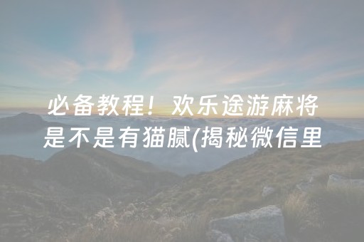 必备教程！欢乐途游麻将是不是有猫腻(揭秘微信里攻略插件)