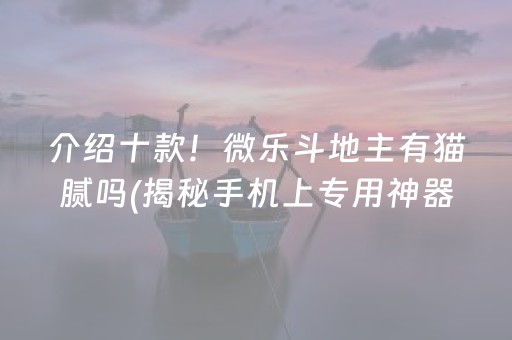 介绍十款！微乐斗地主有猫腻吗(揭秘手机上专用神器)