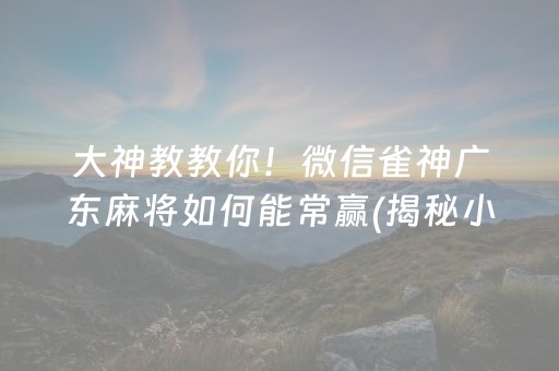 大神教教你！微信雀神广东麻将如何能常赢(揭秘小程序输赢规律)