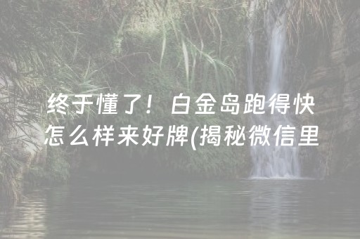 终于懂了！白金岛跑得快怎么样来好牌(揭秘微信里助赢神器购买)