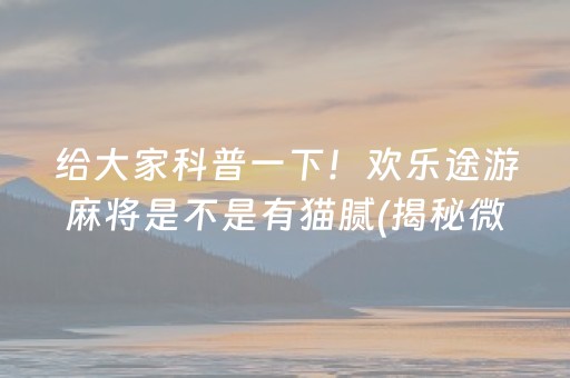 给大家科普一下！欢乐途游麻将是不是有猫腻(揭秘微信里输赢规律)