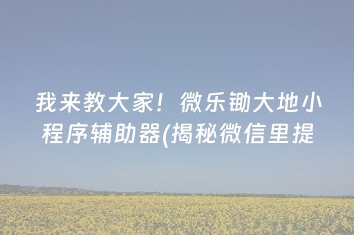 我来教大家！微乐锄大地小程序辅助器(揭秘微信里提高胜率)