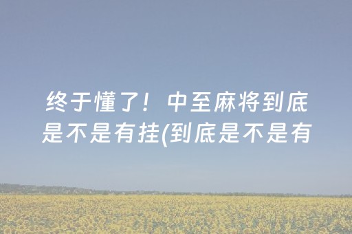 终于懂了！中至麻将到底是不是有挂(到底是不是有挂)