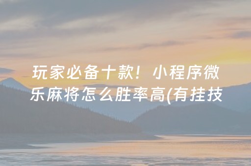 玩家必备十款！小程序微乐麻将怎么胜率高(有挂技巧辅助器)