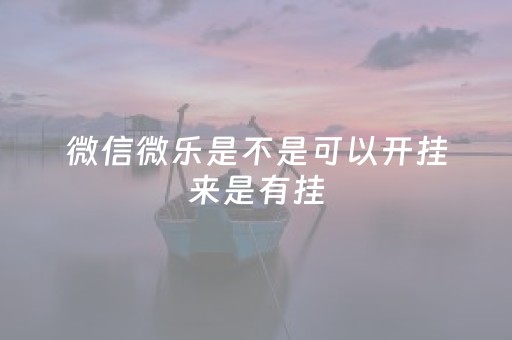 微信微乐是不是可以开挂来是有挂（微乐有开挂的没）