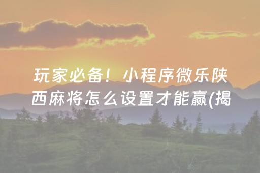 玩家必备！小程序微乐陕西麻将怎么设置才能赢(揭秘小程序助赢神器)