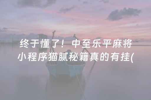 终于懂了！中至乐平麻将小程序猫腻秘籍真的有挂(确实有挂吗)