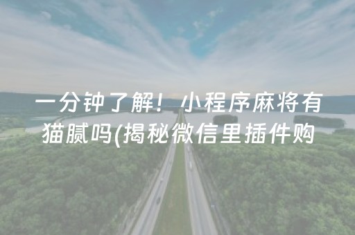 一分钟了解！小程序麻将有猫腻吗(揭秘微信里插件购买)