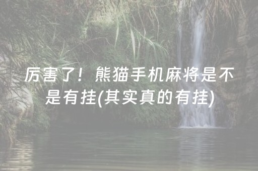 厉害了！熊猫手机麻将是不是有挂(其实真的有挂)