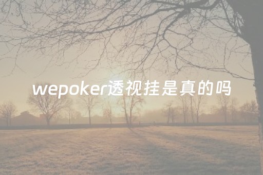 wepoker透视挂是真的吗（wepoker透视是骗局吗）