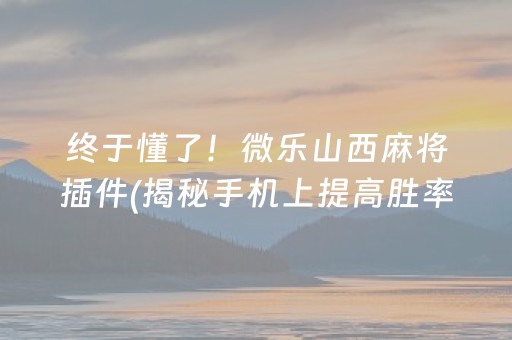 终于懂了！微乐山西麻将插件(揭秘手机上提高胜率)