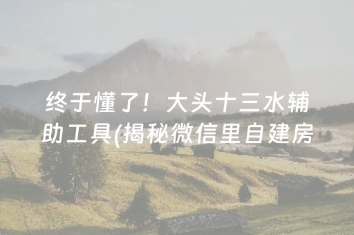 终于懂了！大头十三水辅助工具(揭秘微信里自建房怎么赢)