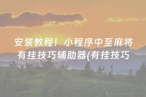 安装教程！小程序中至麻将有挂技巧辅助器(有挂技巧辅助器)