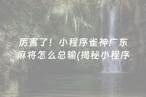 厉害了！小程序雀神广东麻将怎么总输(揭秘小程序插件下载)