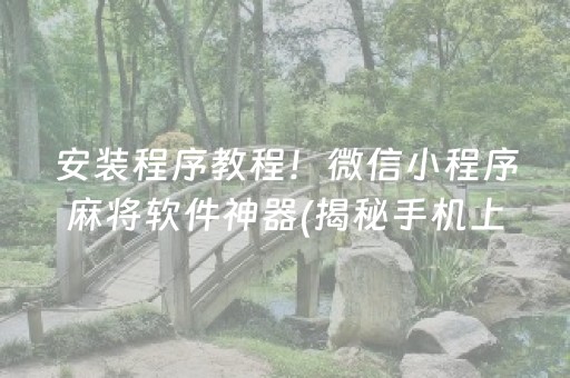 安装程序教程！微信小程序麻将软件神器(揭秘手机上如何让牌变好)