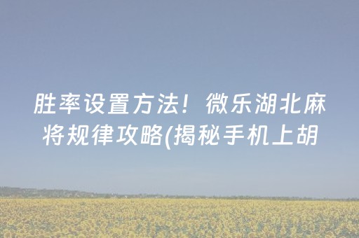 胜率设置方法！微乐湖北麻将规律攻略(揭秘手机上胡牌神器)