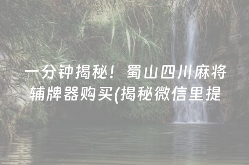 一分钟揭秘！蜀山四川麻将辅牌器购买(揭秘微信里提高赢的概率)