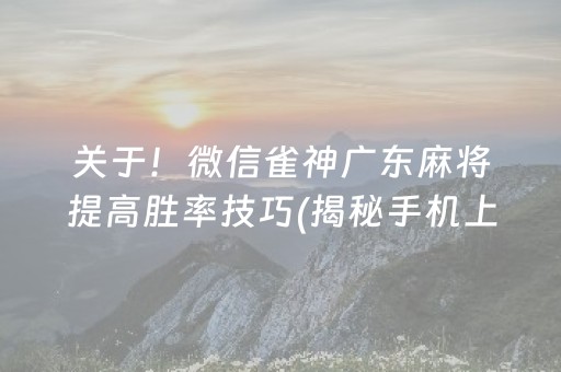 关于！微信雀神广东麻将提高胜率技巧(揭秘手机上专用神器下载)