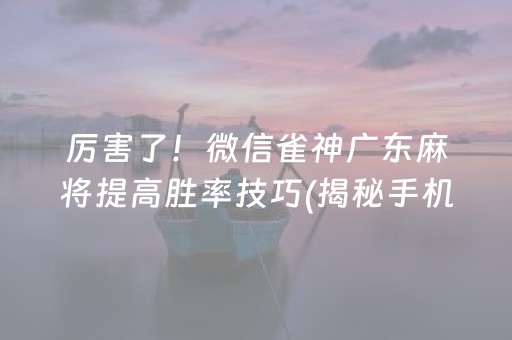 厉害了！微信雀神广东麻将提高胜率技巧(揭秘手机上胡牌神器)