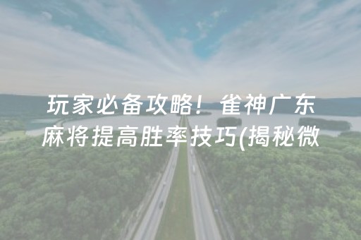 玩家必备攻略！雀神广东麻将提高胜率技巧(揭秘微信里确实有猫腻)