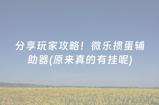 分享玩家攻略！微乐掼蛋辅助器(原来真的有挂呢)