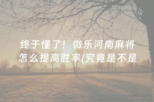 终于懂了！微乐河南麻将怎么提高胜率(究竟是不是有挂)