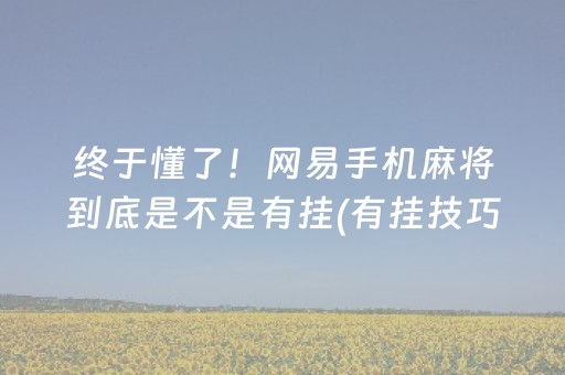 终于懂了！网易手机麻将到底是不是有挂(有挂技巧辅助器)