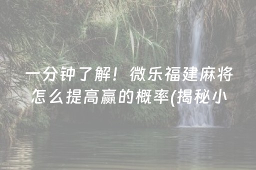 一分钟了解！微乐福建麻将怎么提高赢的概率(揭秘小程序输赢规律)