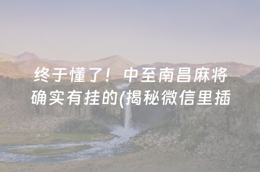 终于懂了！中至南昌麻将确实有挂的(揭秘微信里插件下载)