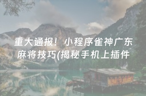 重大通报！小程序雀神广东麻将技巧(揭秘手机上插件购买)