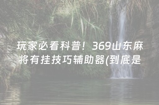 玩家必看科普！369山东麻将有挂技巧辅助器(到底是不是有挂)