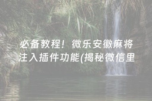 必备教程！微乐安徽麻将注入插件功能(揭秘微信里输赢规律)