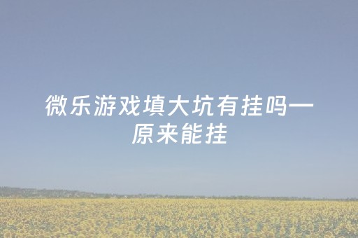 微乐游戏填大坑有挂吗—原来能挂（微乐游戏填大坑怎么没了）