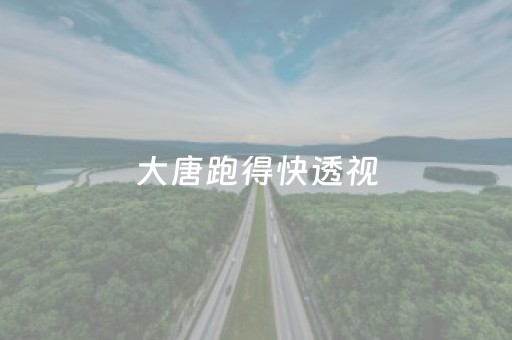 大唐跑得快透视（大唐跑得快上分）