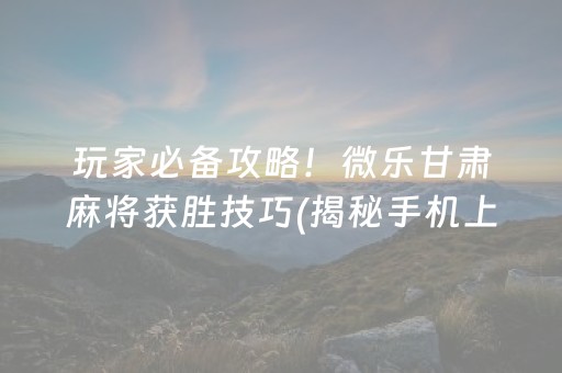 玩家必备攻略！微乐甘肃麻将获胜技巧(揭秘手机上助赢神器购买)