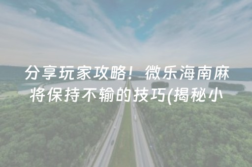 分享玩家攻略！微乐海南麻将保持不输的技巧(揭秘小程序最新神器下载)